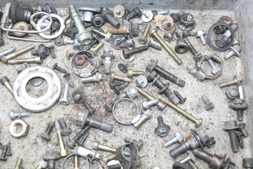 photo de SCREW BAG YAMAHA YP MAJESTY 125 (2002 - 2006) - Zoom on usage condition