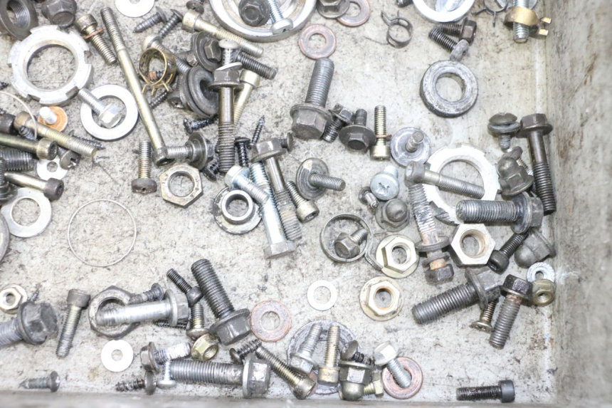 photo de SCREW BAG YAMAHA YP MAJESTY 125 (2002 - 2006) - Zoom on usage condition