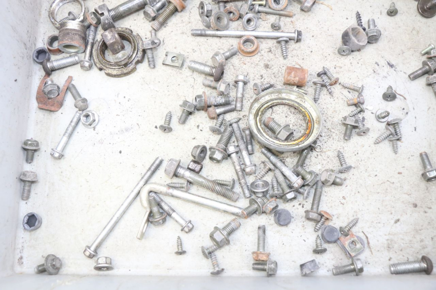 photo de SCREW FASTENER BAG YIYING YY50QT-10 50 (2007 - 2022) - Zoom on usage condition