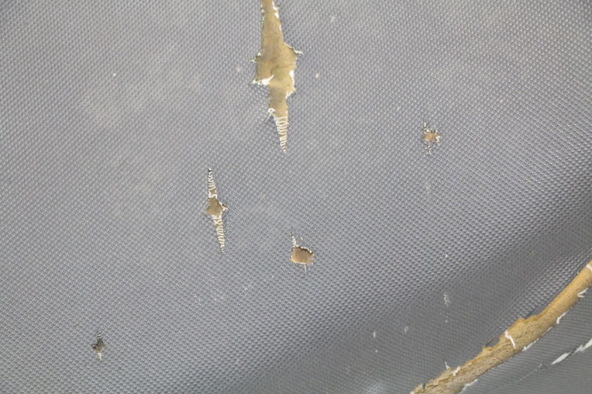 photo de SEAT ERIDER CARGO 1 (2009 - 2018) - Additional view of the item