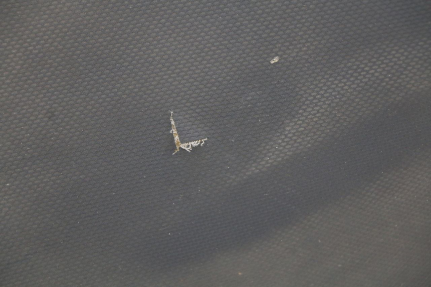 photo de SEAT TGB CITY 2 50 (2009 - 2013) - Alternative angle