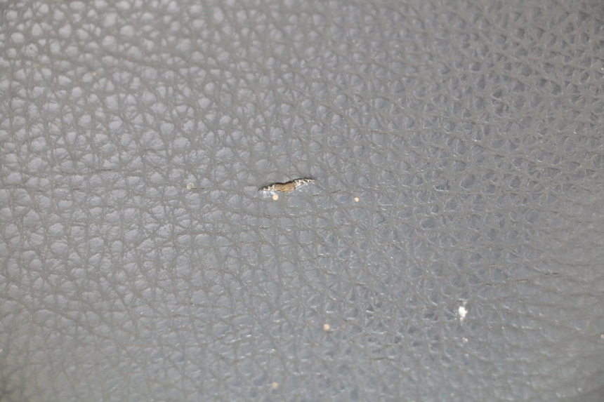 photo de SEAT PEUGEOT KISBEE 2T 50 (2010 - 2017) - Product overview