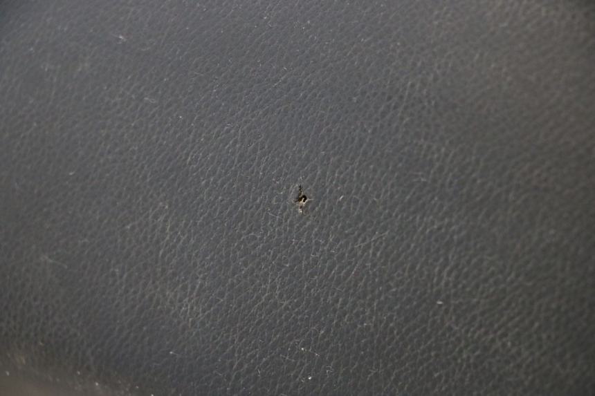 photo de SEAT PEUGEOT LUDIX ONE 50 (2004 - 2013) - Alternative perspective