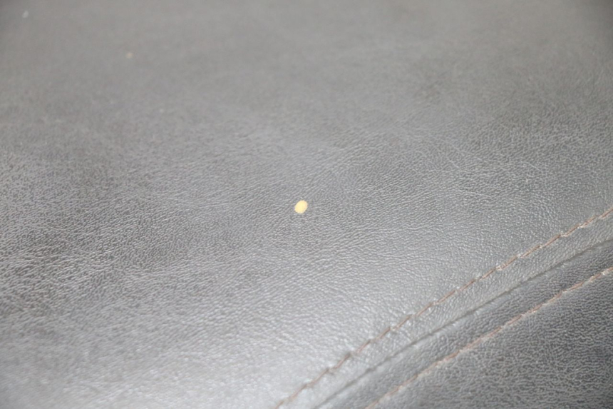 photo de SEAT SYM ORBIT III 3 4T 50 (2021 - 2025) - Alternative perspective