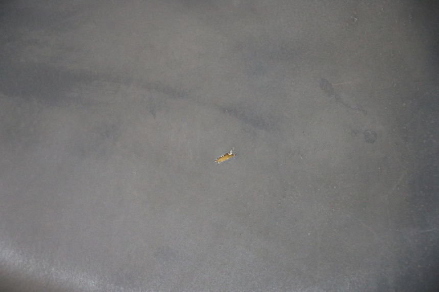 photo de SEAT PEUGEOT LUDIX 50 (2008 - 2017) - Fixing points details