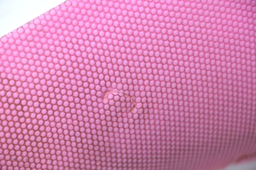 photo de SEAT APOLLO RFZ 150 - Component detail