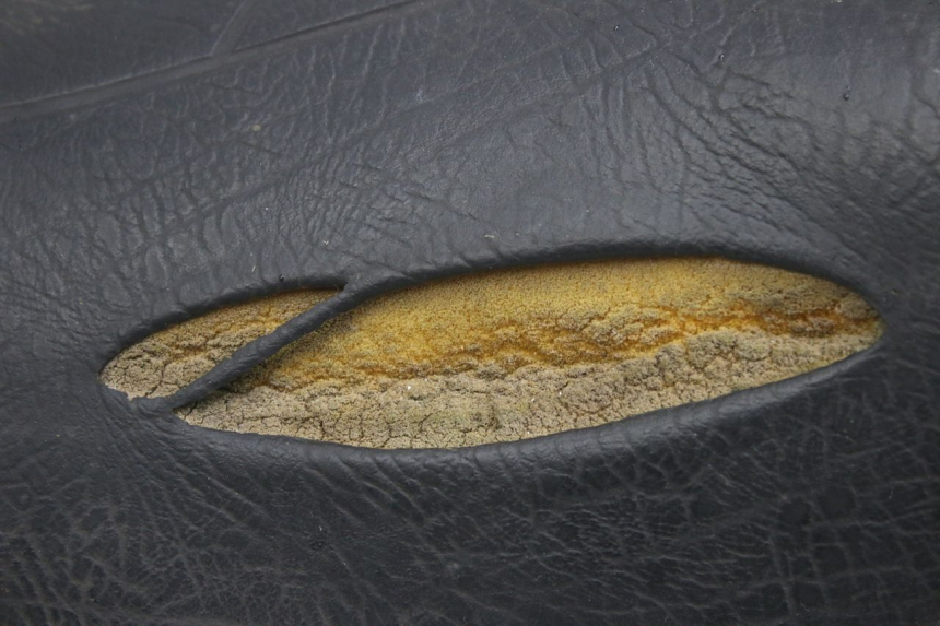 photo de SEAT APRILIA SCARABEO 100 (2003 - 2012) - Additional view of the item