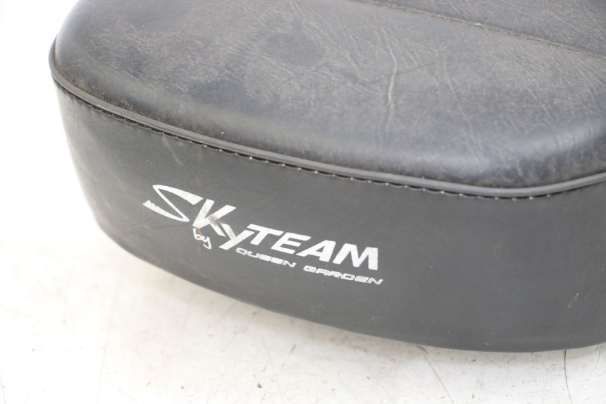 photo de SEAT SKYTEAM SKYMAX PRO 125 (2012 - 2016) - Additional view of the item