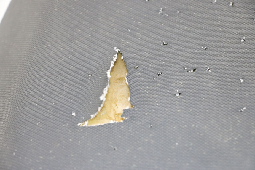 photo de SEAT TNT MOTOR BOSTON 4T 50 (2018 - 2025) - Alternative perspective