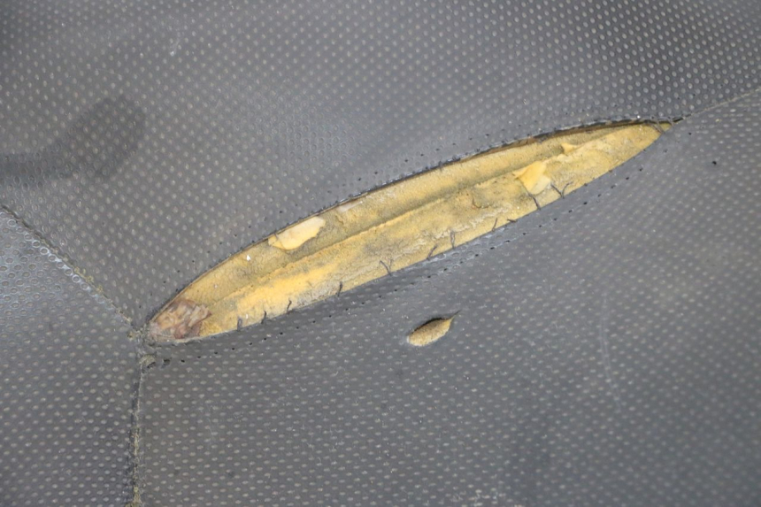 photo de SEAT YAMAHA XMAX X-MAX 125 (2006 - 2009) - Alternative perspective