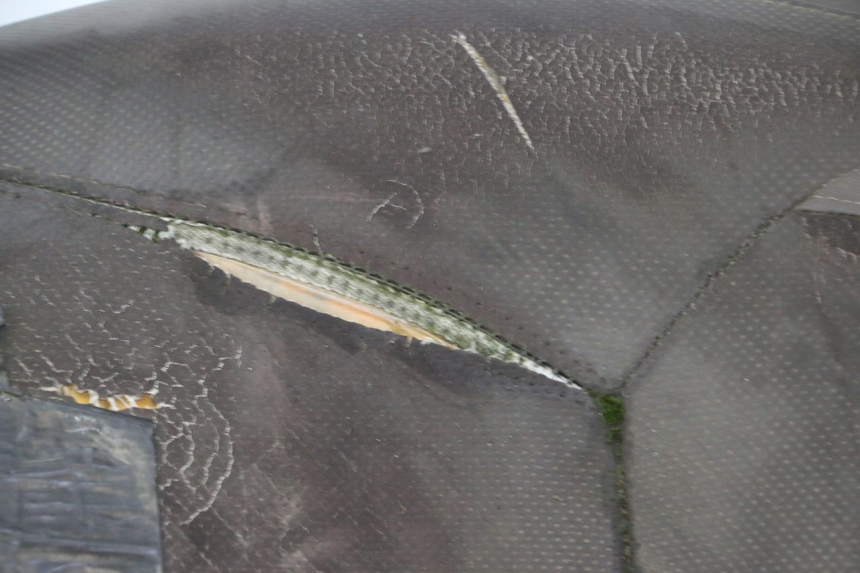 photo de SEAT YAMAHA X-MAX XMAX 250 (2006 - 2009) - Product overview