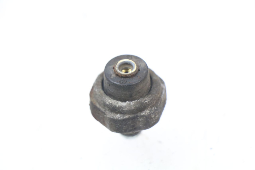 photo de SENSOR SUZUKI BURGMAN 650 (2002 - 2004) - Zoom on usage condition