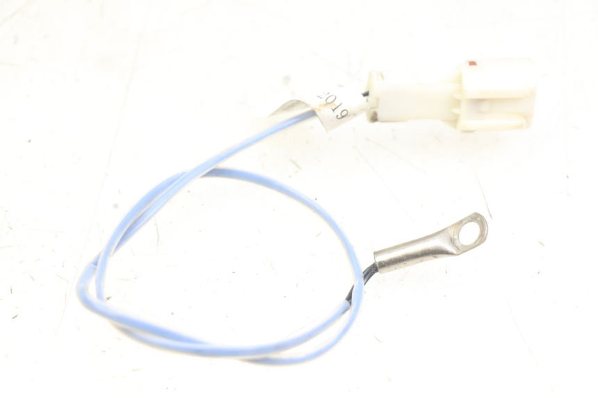 photo de SENSOR ORCAL CAVARO 4T 50 (2019 - 2023) - Main view