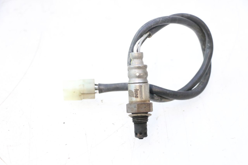 photo de LAMBDA SENSOR MASH DIRT TRACK 50 (2018 - 2020) - Main view