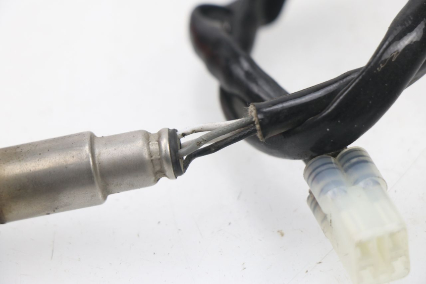 photo de LAMBDA SENSOR JM MOTORS SUNNY 50 (2017 - 2020) - Alternative perspective