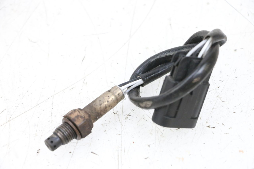 photo de LAMBDA SENSOR NECO TEMPO 4T 50 (2022 - 2026) - Technical close-up