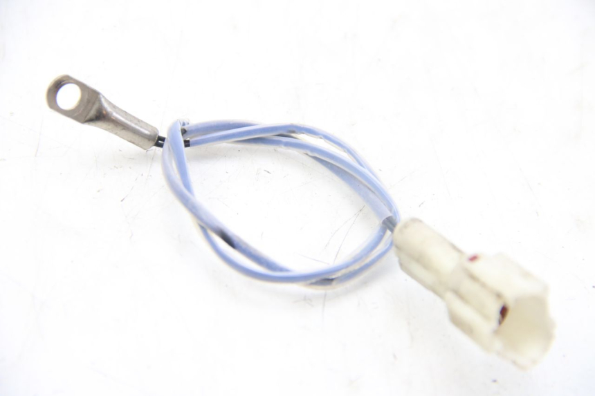 photo de SENSOR TNT MOTOR ROMA 10' 4T 50 (2019 - 2022) - Main view