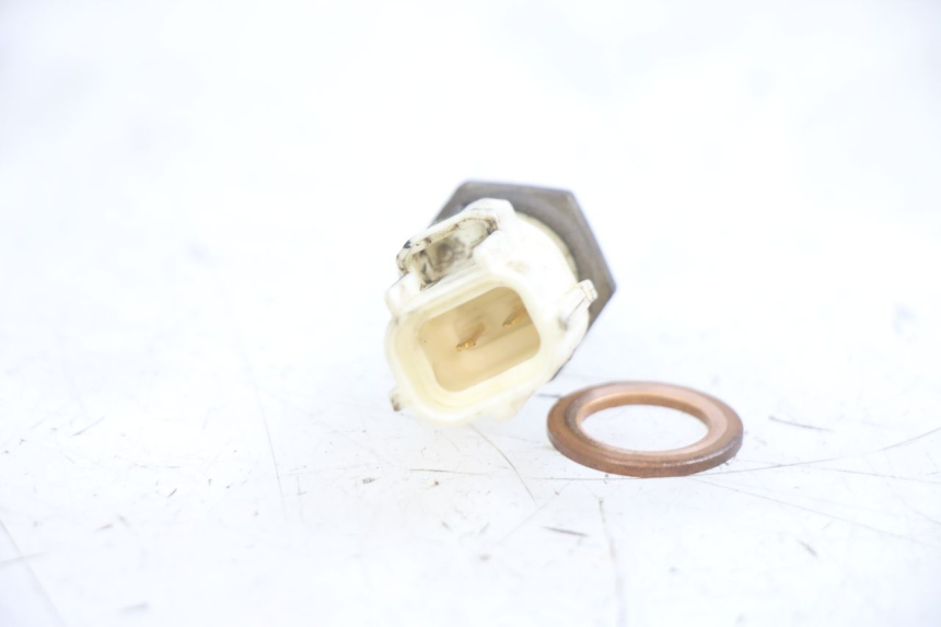 photo de WATER TEMPERATURE SENSOR YAMAHA NEOS NEO'S 4T 50 (2008 - 2016) - Zoom on usage condition