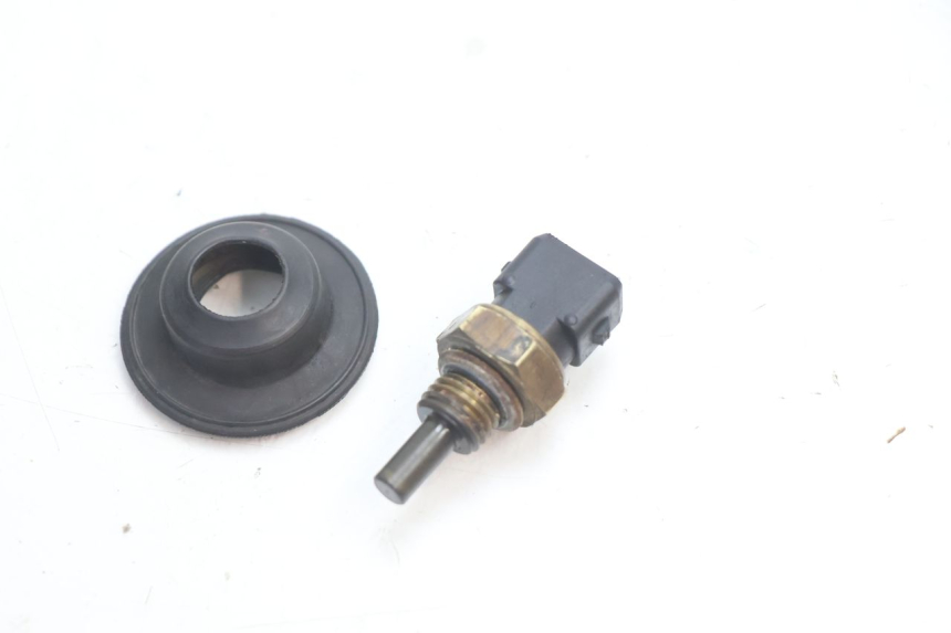 photo de WATER TEMPERATURE SENSOR DUCATI SS IE DS CARENEE 1000 (2002 - 2006) - Main view