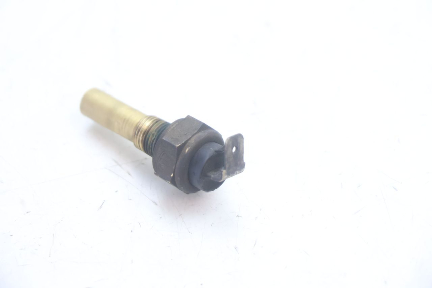 photo de WATER TEMPERATURE SENSOR YAMAHA YP MAJESTY 125 (2002 - 2006) - Zoom on usage condition