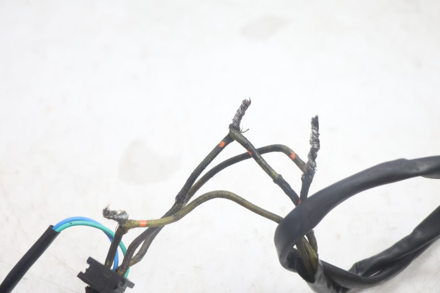 photo de STATOR SUZUKI BURGMAN EXECUTIVE ABS 650 (2006 - 2012) - Alternative perspective