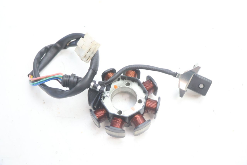 photo de STATOR MASH DIRT TRACK 50 (2018 - 2020) - Component detail