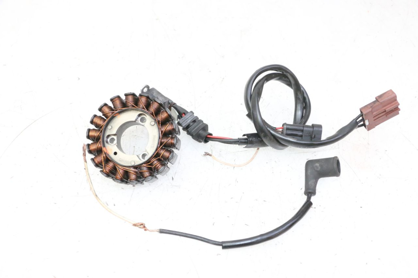 photo de STATOR PIAGGIO MP3 RL 250 (2006 - 2010) - Main view