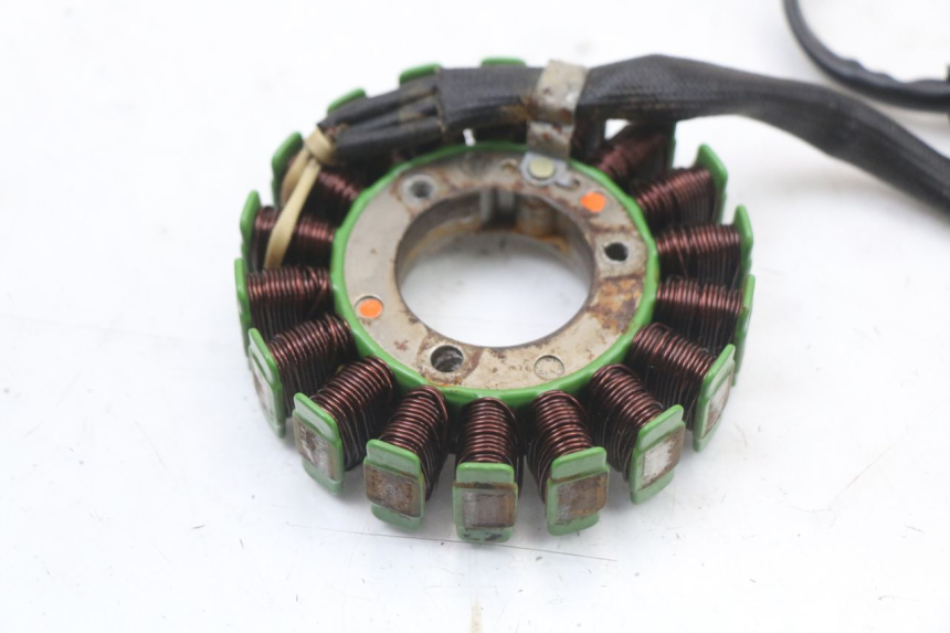 photo de STATOR REGAL RAPTOR RAXTER 2 125 (2007 - 2015) - Zoom on usage condition