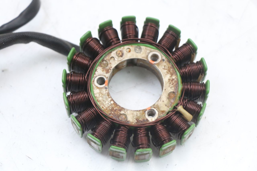 photo de STATOR REGAL RAPTOR RAXTER 2 125 (2007 - 2015) - Technical close-up