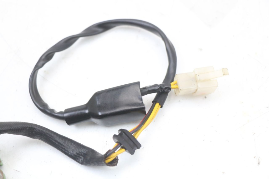 photo de STATOR REGAL RAPTOR RAXTER 2 125 (2007 - 2015) - Product overview