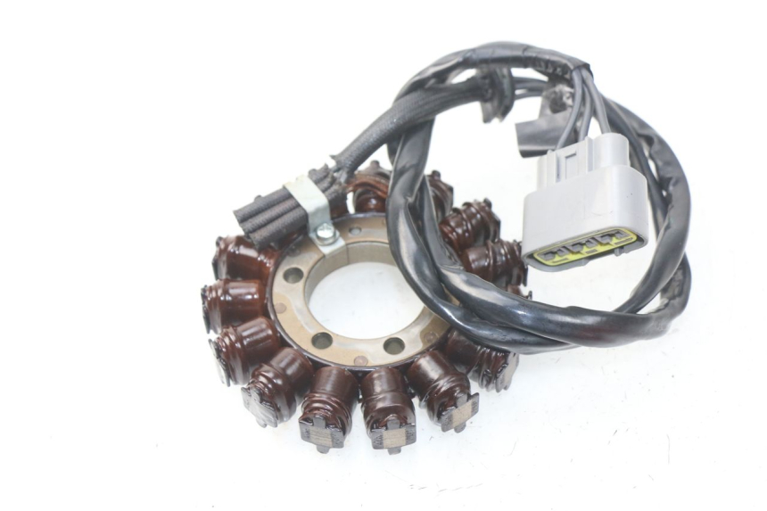 photo de STATOR BMW S RR ABS S1000RR 1000 (2009 - 2011) - Alternative perspective