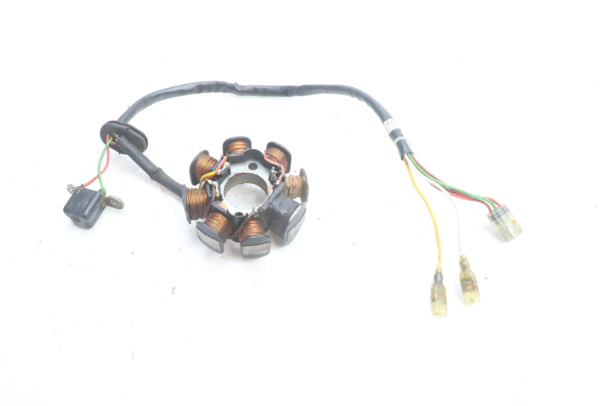 photo de STATOR HUSABERG TE 250 (2011 - 2014) - Technical close-up
