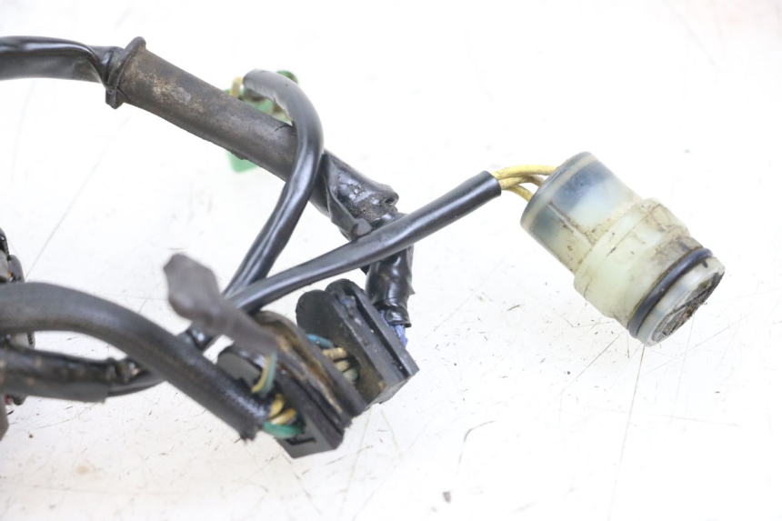 photo de STATOR HONDA TRX 300 (1988 - 2000) - Component detail