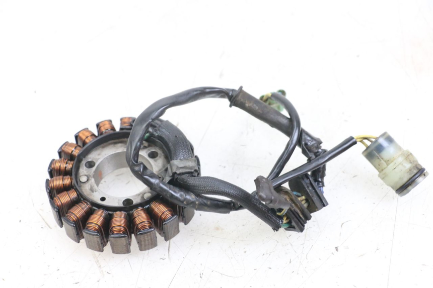 photo de STATOR HONDA TRX 300 (1988 - 2000) - Zoom on usage condition
