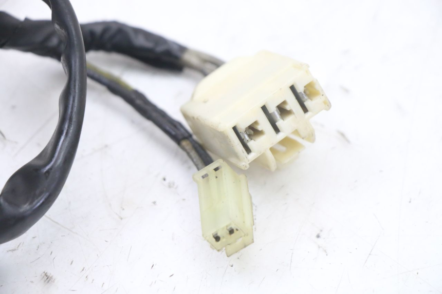 photo de STATOR YAMAHA FZS FAZER 600 (2001 - 2003) - Alternative perspective