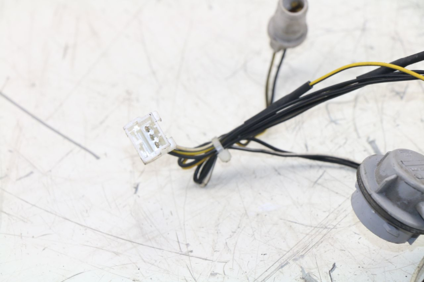 photo de BULB HOLDER PIAGGIO XEVO - X EVO 125 (2007 - 2017) - Zoom on usage condition