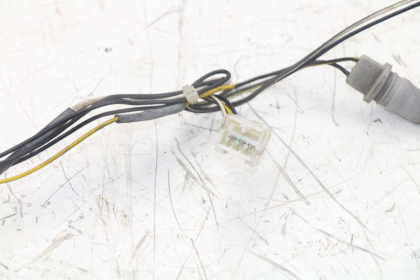 photo de BULB HOLDER PIAGGIO XEVO - X EVO 125 (2007 - 2017) - Component detail