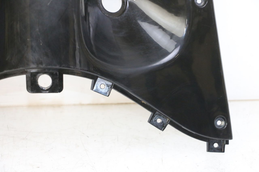 photo de INNER LEGSHIELD UPPER DAELIM BESBI 125 (2007 - 2008) - Checked used part