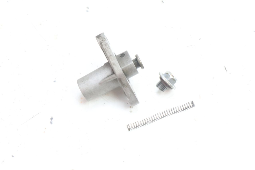 photo de TIMING CHAIN TENSIONER KYMCO AGILITY 16+ 4T 50 (2018 - 2023) - Component detail