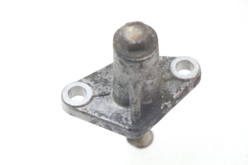 photo de CAM CHAIN TENSIONER PIAGGIO BEVERLY 500 (2003 - 2007) - Component detail