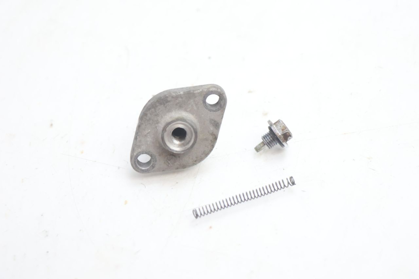 photo de CAM CHAIN TENSIONER MASH DIRT TRACK 50 (2018 - 2020) - Technical close-up