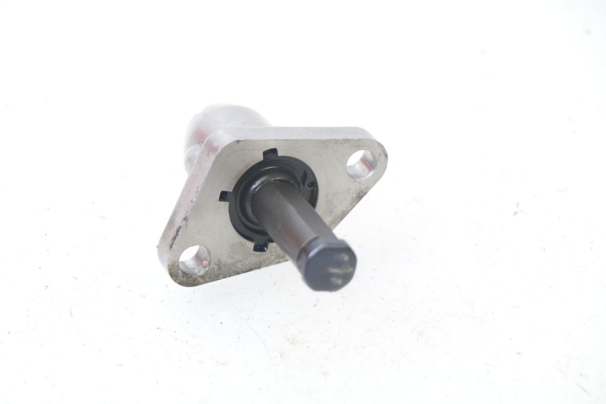 photo de CAM CHAIN TENSIONER PIAGGIO LIBERTY 4T 50 (2018 - 2021) - Alternative perspective