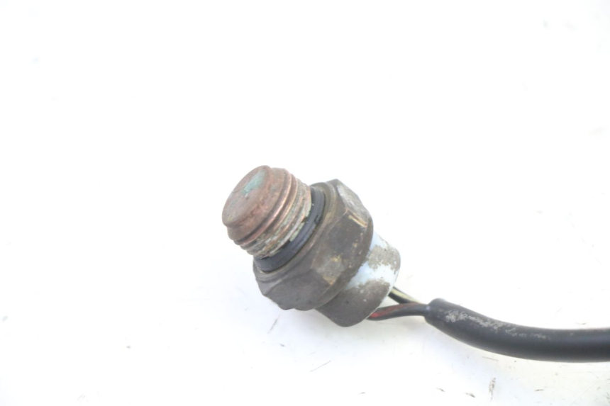 photo de THERMOCONTACT SUZUKI BURGMAN 125 (2007 - 2014) - Alternative perspective