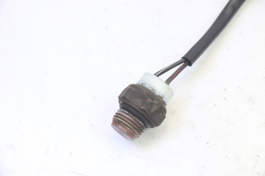 photo de THERMOCONTACT SUZUKI BURGMAN 125 (2007 - 2014) - Zoom on usage condition