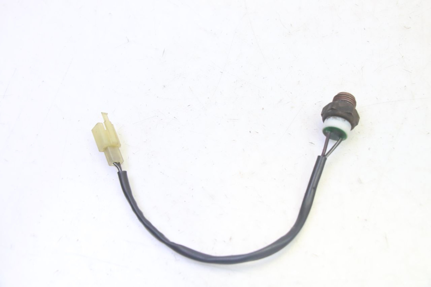 photo de THERMOCONTACT SUZUKI BURGMAN 125 (2007 - 2014) - Alternative perspective