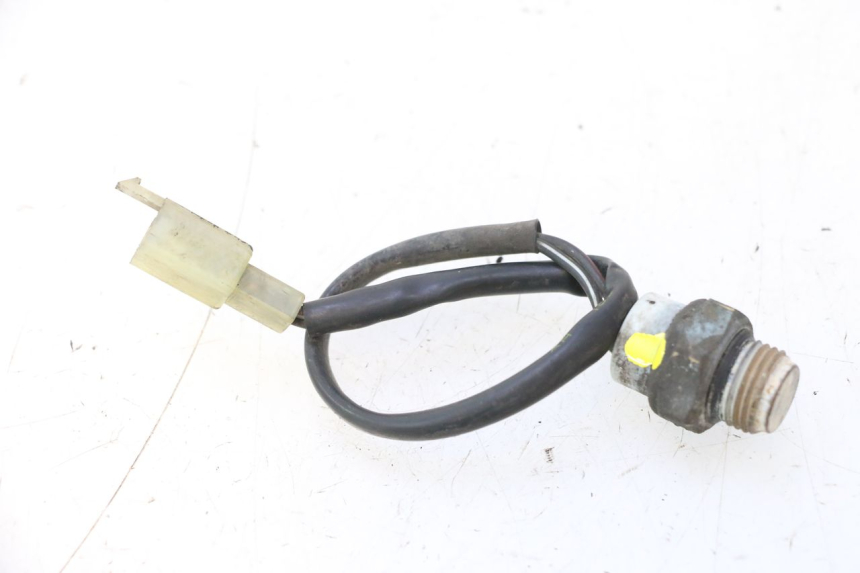 photo de THERMOCONTACT SUZUKI BURGMAN 125 (2007 - 2014) - Zoom on usage condition