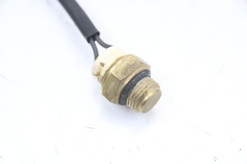 photo de THERMO SWITCH REGAL RAPTOR RAXTER 2 125 (2007 - 2015) - Component detail