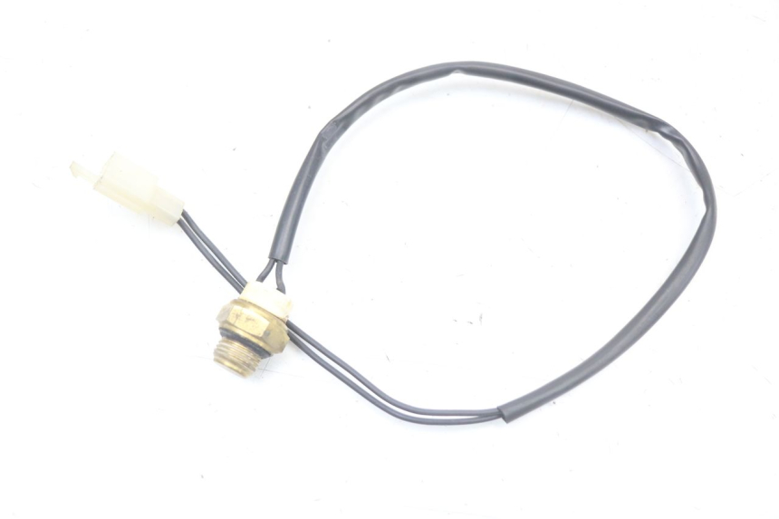 photo de THERMO SWITCH REGAL RAPTOR RAXTER 2 125 (2007 - 2015) - Zoom on usage condition