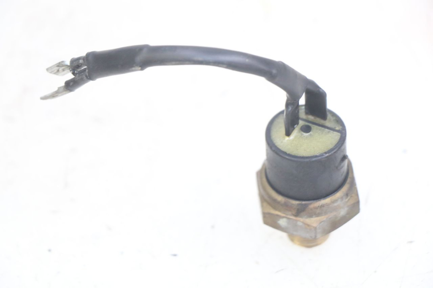 photo de THERMOCONTACT YAMAHA YP MAJESTY 125 (1998 - 2001) - Zoom on usage condition