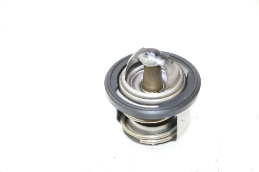 photo de THERMOSTAT PIAGGIO MP3 LT 300 (2010 - 2016) - Alternative perspective